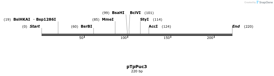 111114_map