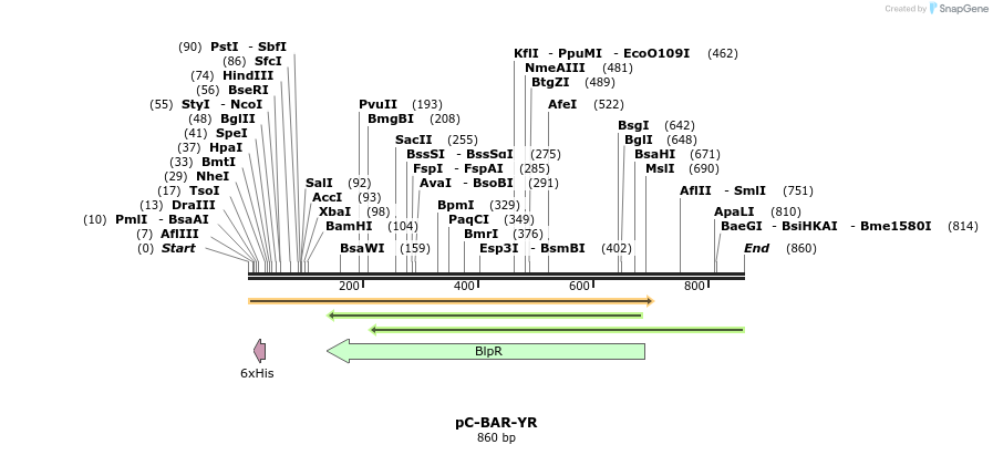 111115_map