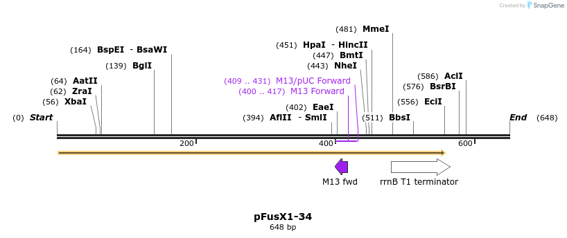 111117_map