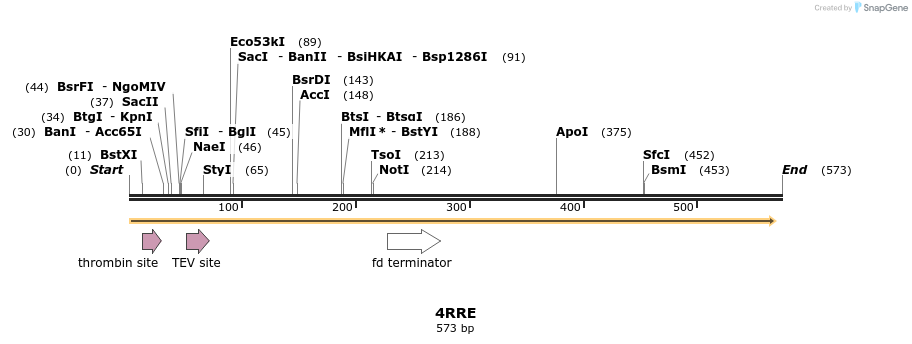 111119_map