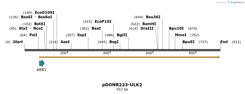 11112_map