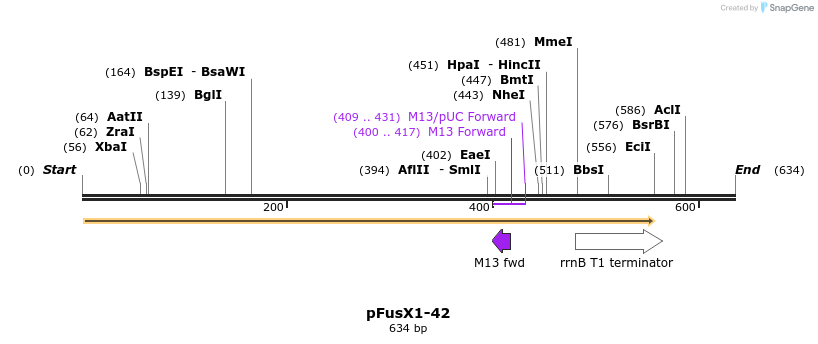 111120_map