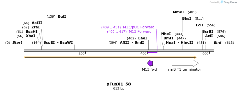 111127_map