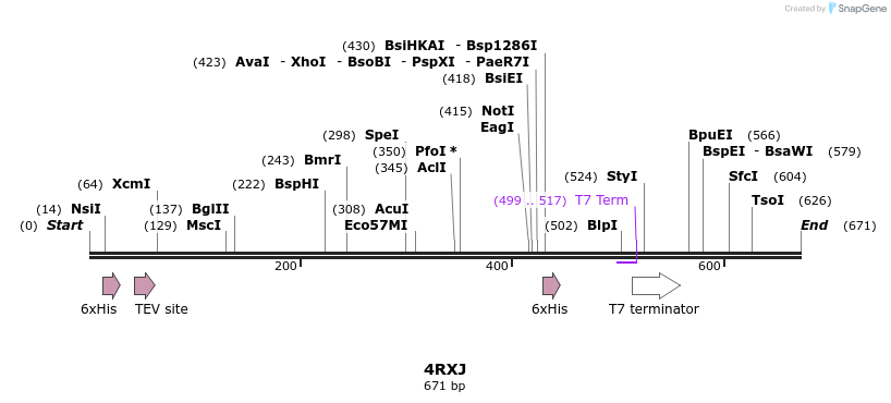 111131_map
