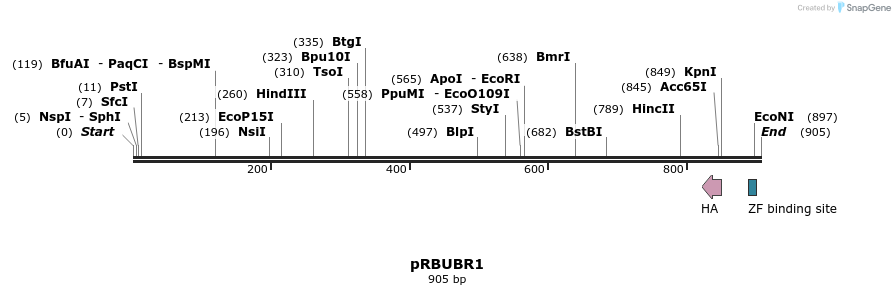 111136_map