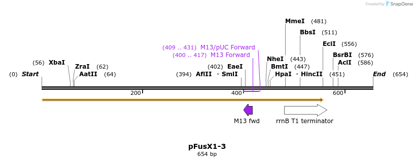 111143_map