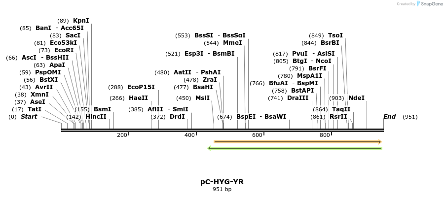 111149_map