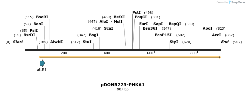 11115_map