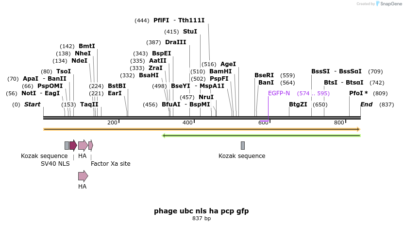 111158_map