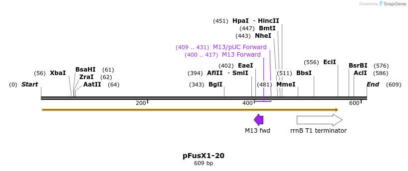 111161_map