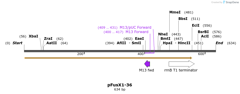 111163_map