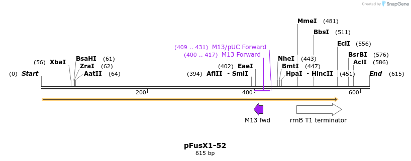 111167_map