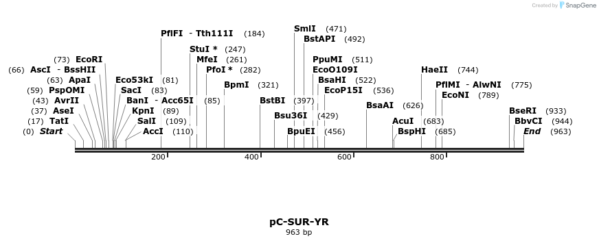 111174_map