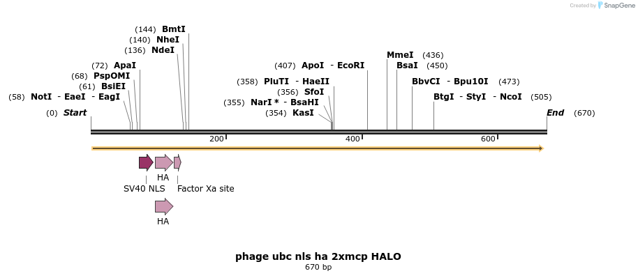 111175_map
