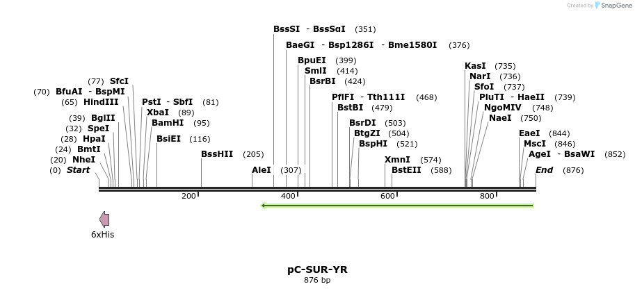 111178_map