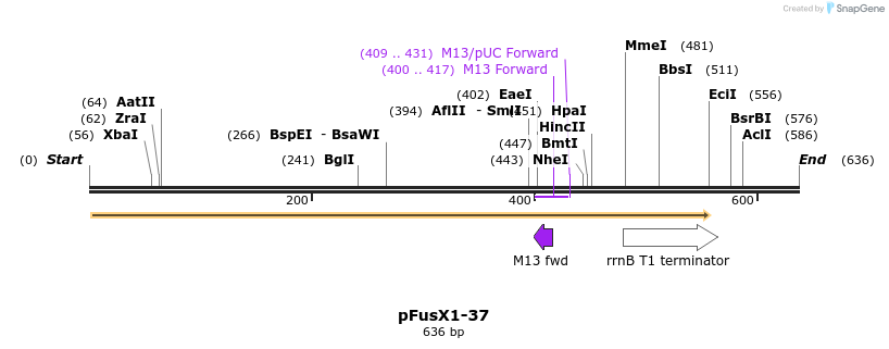111192_map