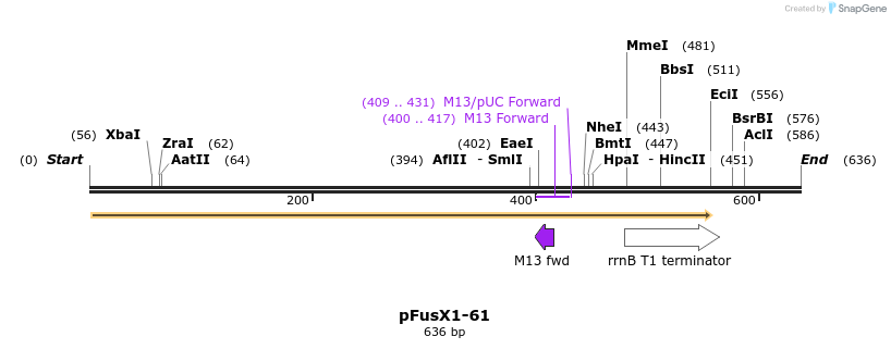 111195_map