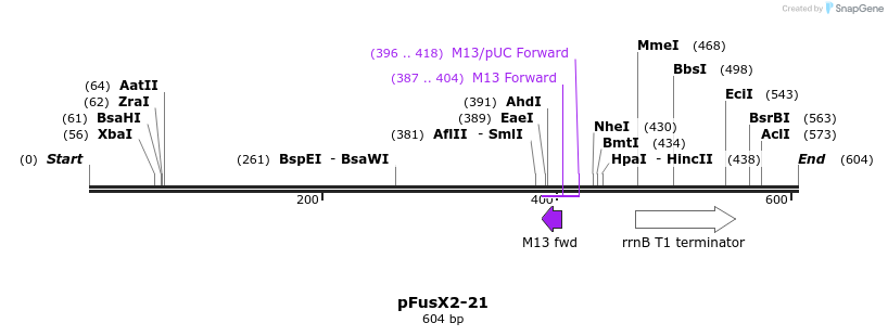 111199_map
