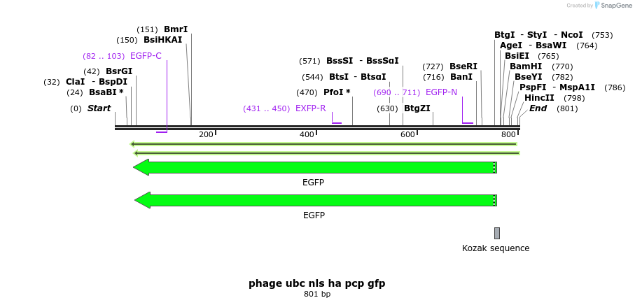 111200_map