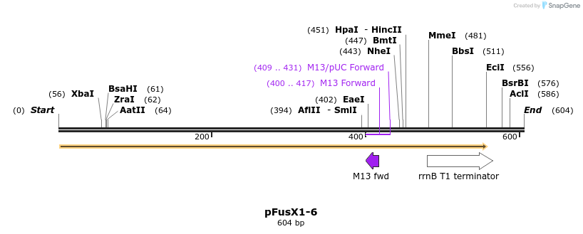 111202_map