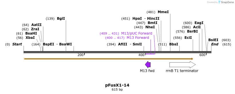 111203_map
