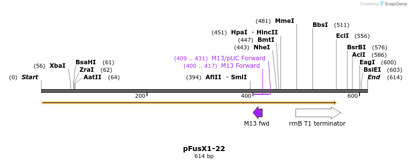 111204_map