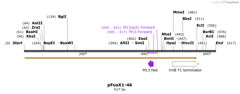 111207_map
