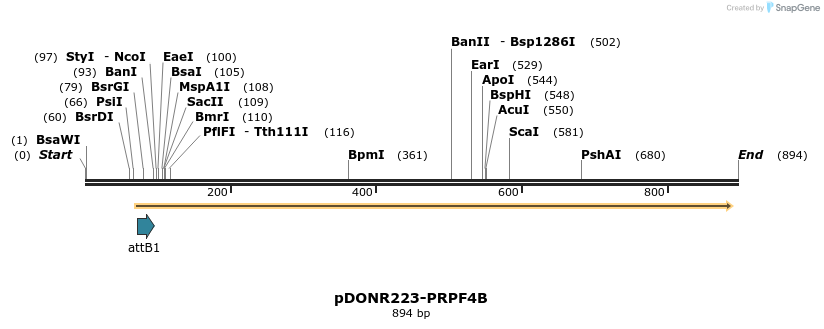 11121_map