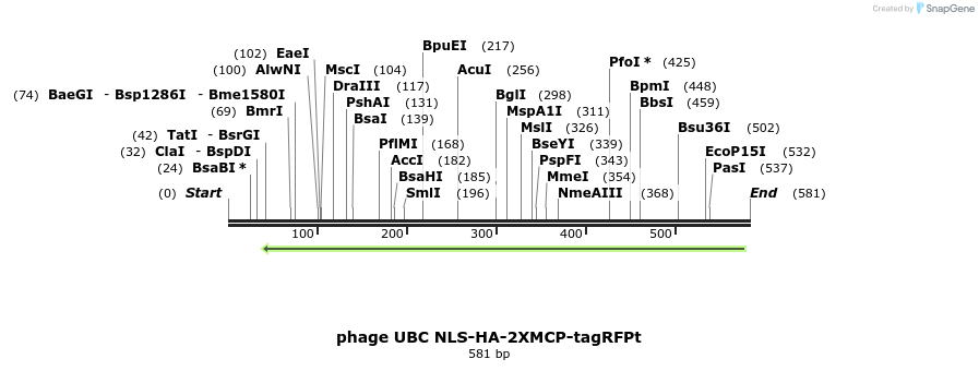111210_map