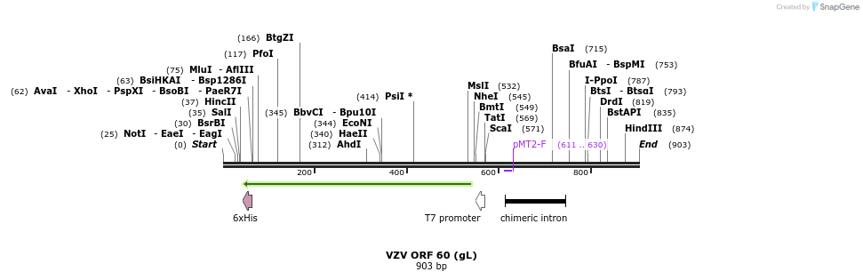 111212_map