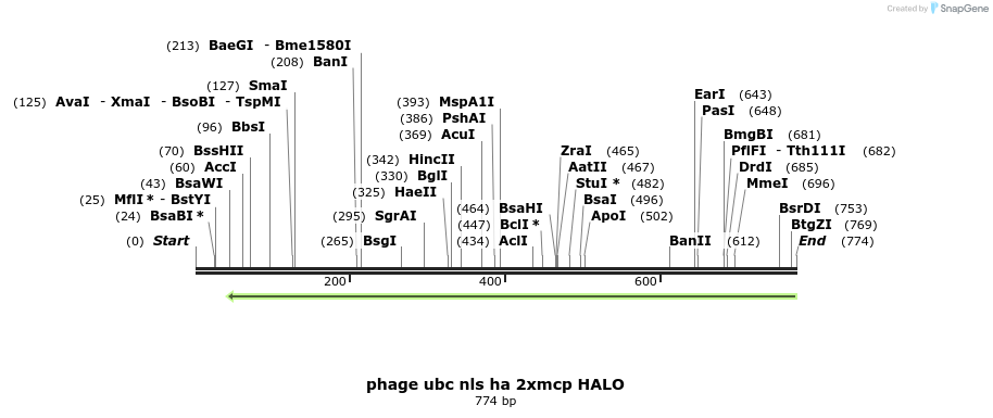 111213_map