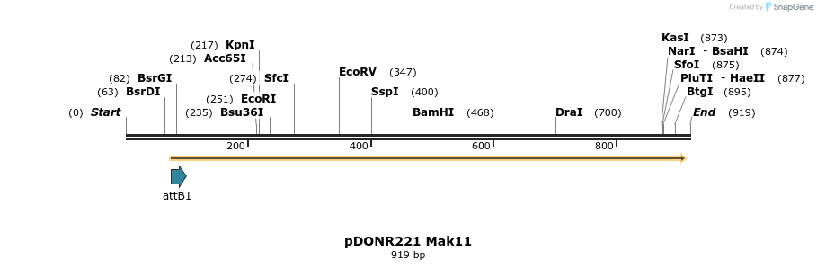 111216_map