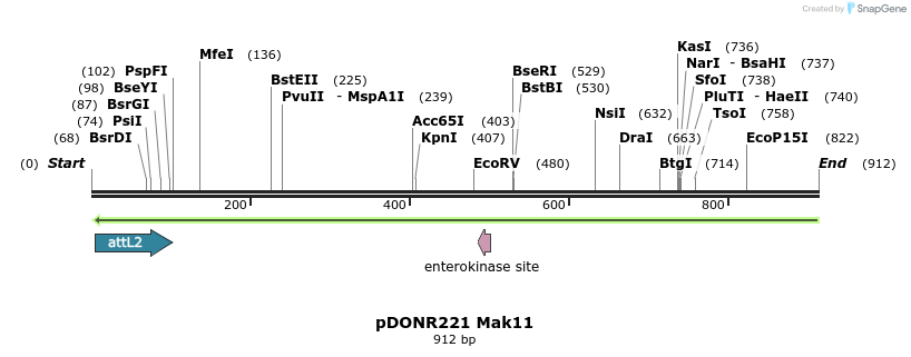 111217_map