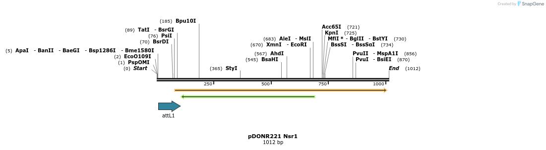 111236_map