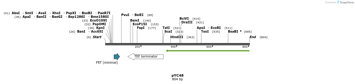 111238_map