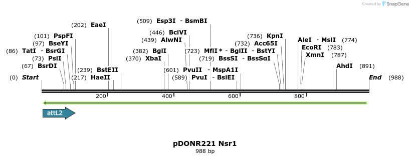 111240_map