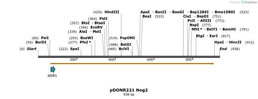 111245_map