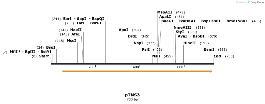 111248_map