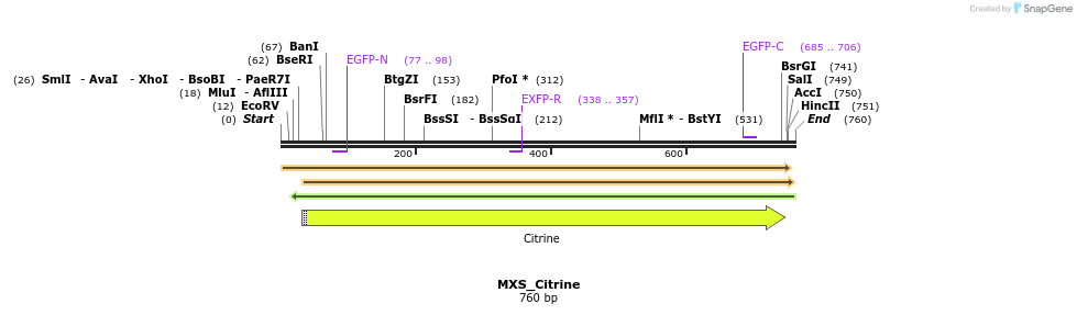 111253_map