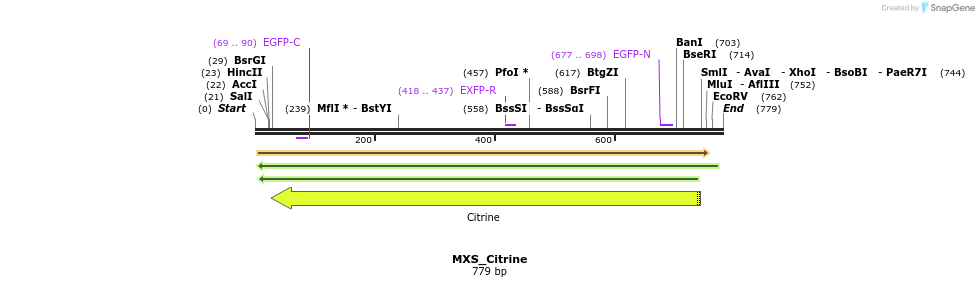 111254_map