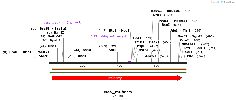 111255_map