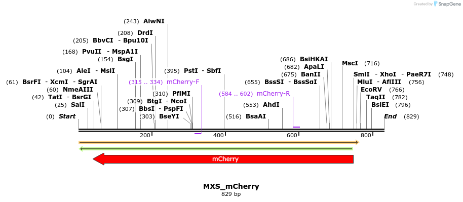 111256_map