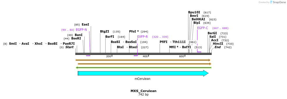 111257_map