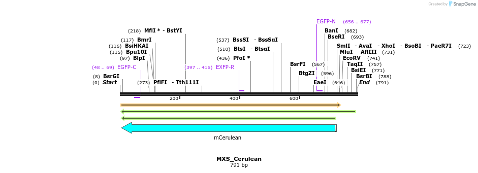 111258_map