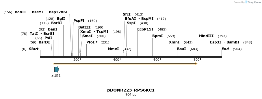 11126_map