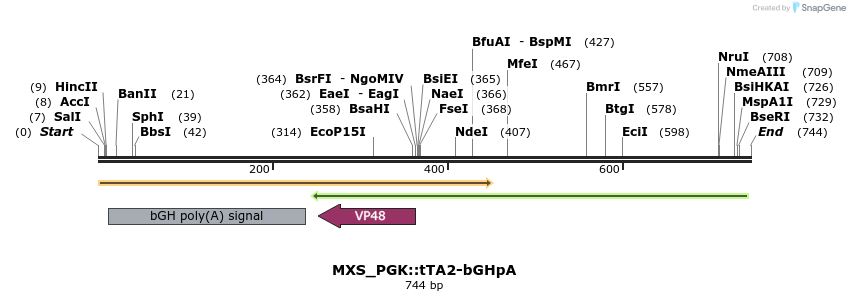 111262_map