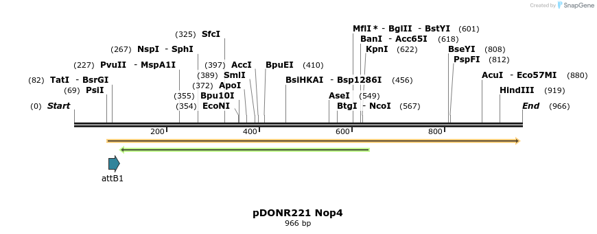 111265_map