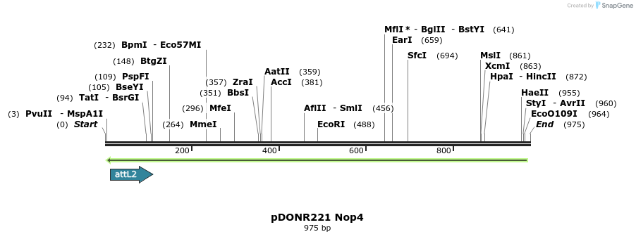 111266_map