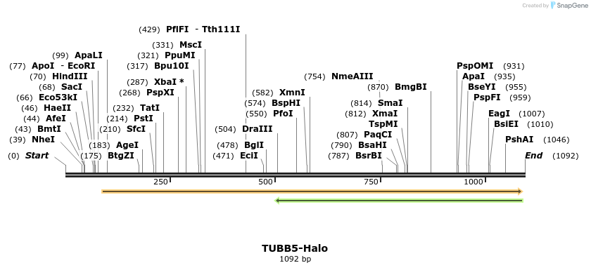 111268_map