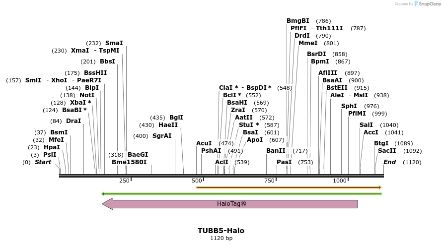 111269_map